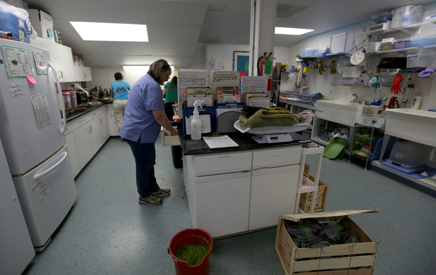 WILDLIFE CENTER
